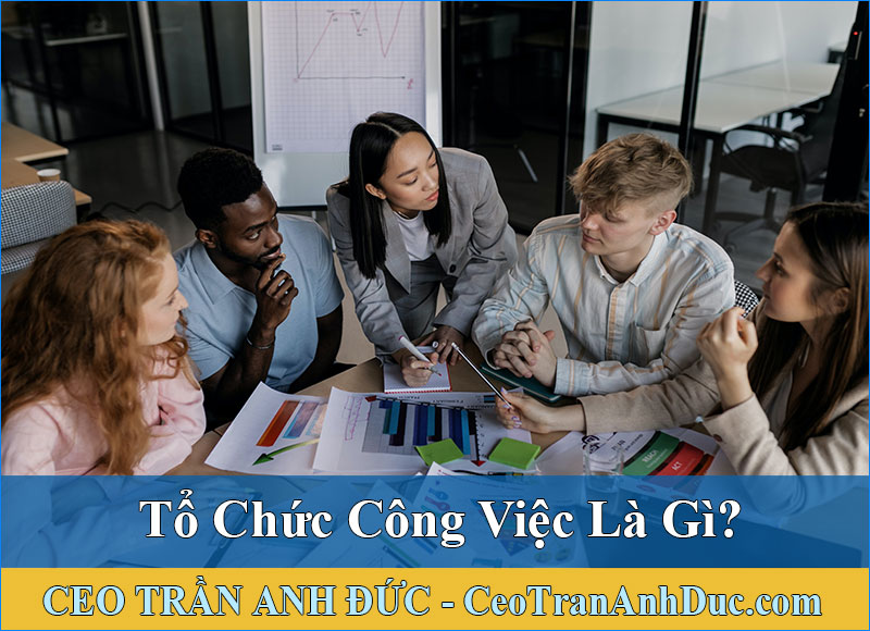 khái niệm tổ chức công việc