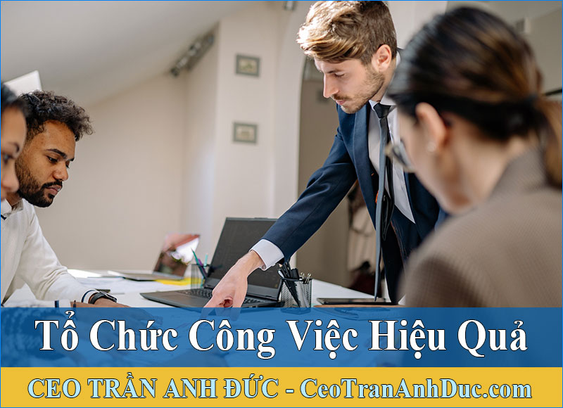 tổ chức công việc hiệu quả