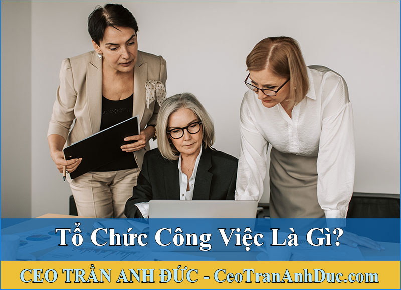 tổ chức công việc là gì